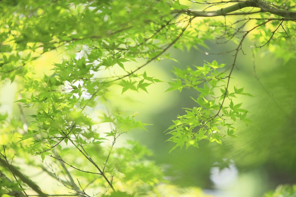 Oushuku Onsen Choeikan Shizukuishi Dış mekan fotoğraf